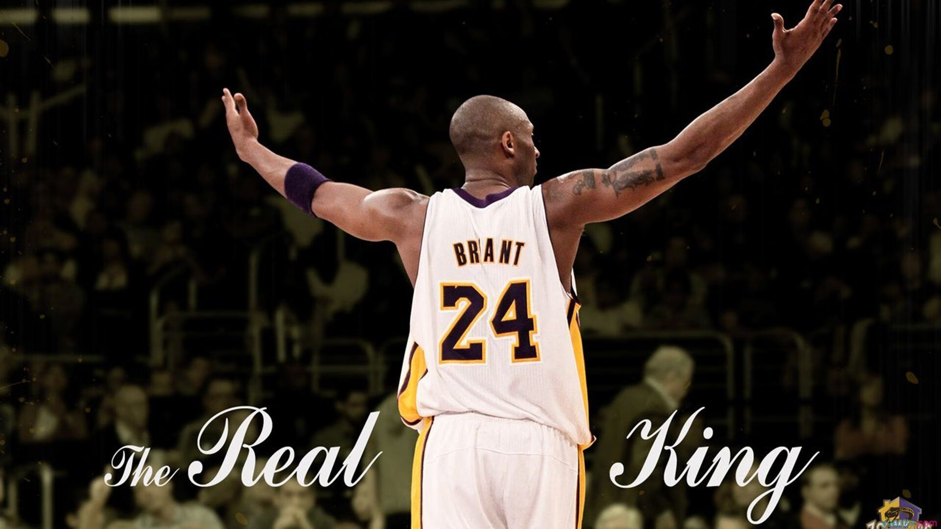 穆古鲁扎迎来二十赛季出色发挥，巴塞罗那观众热烈欢呼！